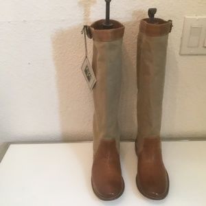 FRYE  Paige tall buckle boots